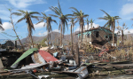 Palmuja ja myrskyn tuhoamia rakennuksia