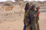 Drought victims in Ethiopia