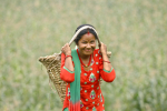 Nainen kantaa koria pään ja selän varassa Nepalin maaseudulla.
