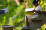 Hondurasilainen tyttö lukee koulukirjaa portailla.