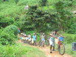 Ihmisiä taluttamassa polkupyöriä, taustalla metsä