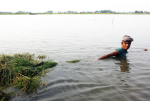 Mies kahlaa vedessä, joka ylettyy jo hartioille asti Bangladeshissa.