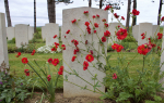 Sotilaiden hautoja Ryesin hautausmaalla Normandiassa Ranskassa.