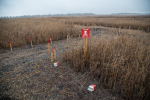 Maamiinoista varoittava kyltti pellolla, Ukraina