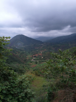 Tie ja metsää Kongossa