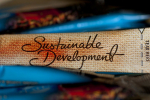 Sustainable development -teksti