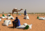 Ruokasäkkejä, kameli ja kaksi miestä aavikolla