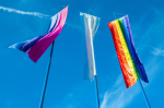 Seksuaali- ja sukupuolivähemmistöjen lippuja