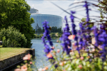 Euroopan parlamentti, etualalla violetteja kukkia