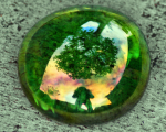 Puita heijastuneena vihreään kuplaan