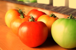 Tomaatteja lähikuvassa