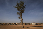 Ihminen korkean puun vieressä, taustalla pakolaisleirin asumuksia.