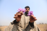 Mies kaksi violettia kukkaa kädessään.
