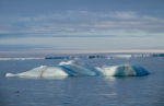 Jäälohkareita kellumassa meressä.
