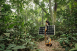 Nainen kantaa aurinkopaneelia sademetsässä.
