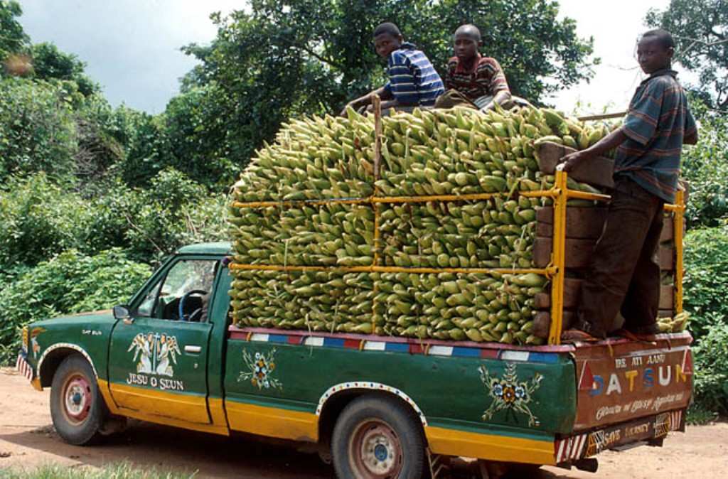 Экономическое развитие нигера. Сельское хозяйство Нигерии. Нигер сельское хозяйство. Сельское хозяйство Африки. Сельское хозяйство центральной Африки.